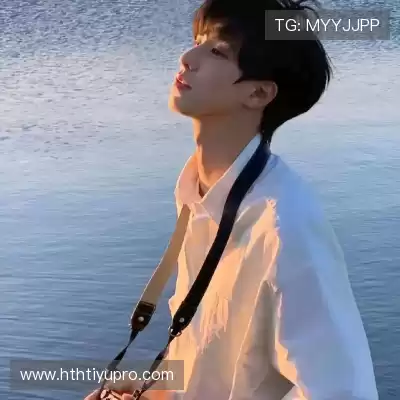 沈辉